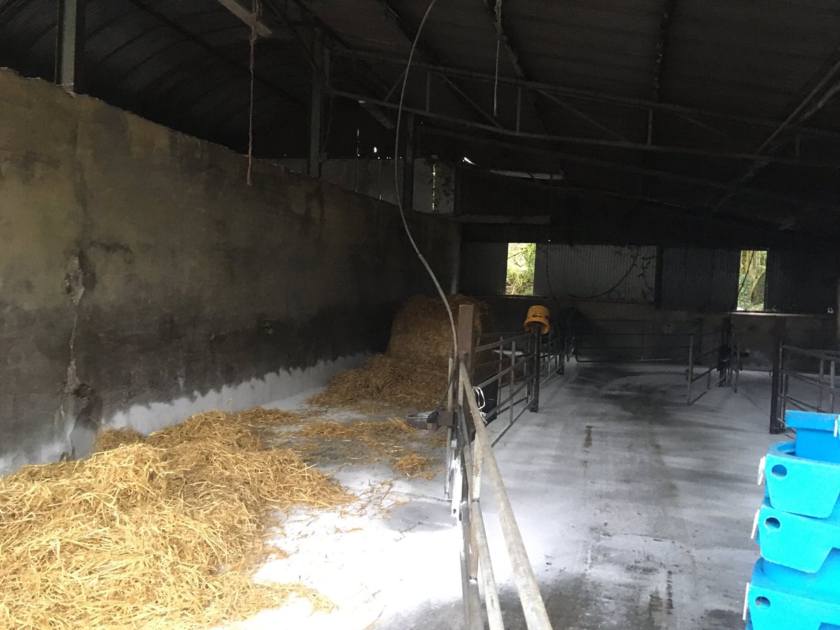 Hylo67's tweet image. Preparations for #calving20 stepped up a gear here for next week #teamdairy