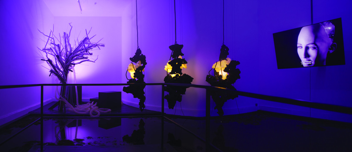 MAM's tweet photo. | Derniers jours |
Jusqu’au 9 février pour découvrir l’exposition GLORIUS READ de Loris Gréaud !
Plus d’informations : https://t.co/fL4Iu1KJiz
Loris Gréaud, Glorius Read, Exhibition Views, Musée d’Art Moderne de Paris, 2019
📷 Realism Noir
#lorisgréaud #gloriusread #MAMParis https://t.co/HaiBq9S30A