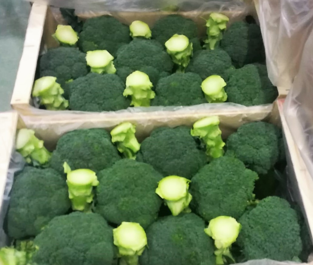 Fanfruit1's tweet photo. Enjoy your weekend folks. Thankyou for your support and we shall be working hard all weekend to bring the freshest and the best to your table.
Call the https://t.co/yUuXq6CvJM team anytime on 041-6851757
Fresh in stock today >>> https://t.co/TKLZRmqSY1