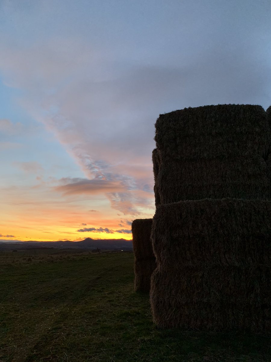 stevecurzon's tweet photo. The end of an incredible week of work - even included an amazing Scottish sunset....in January! https://t.co/xB0Zn887yG