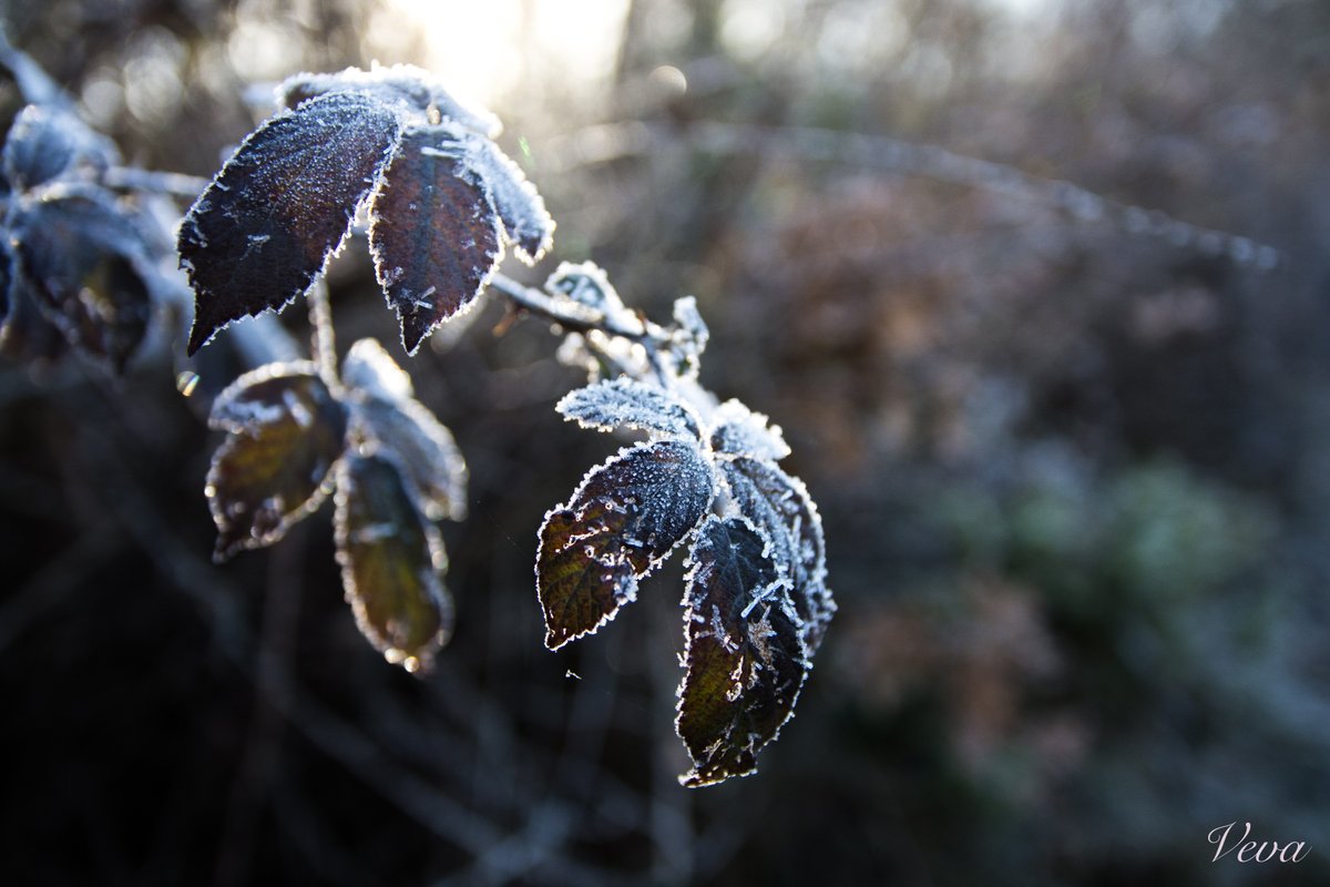 deustoNeuroLab's tweet photo. ¡Feliz fin de semana!❄️☔️
#Asteburu ona izan!⛈️🌦️
Have a good #weekend!🍃❄️
📸 @VevaPhotograph
#Felizfinde #Happyweekend #friday #viernes #ostirala #negua #invierno #winter #january #urtarrila #enero https://t.co/VNhjVEylIO