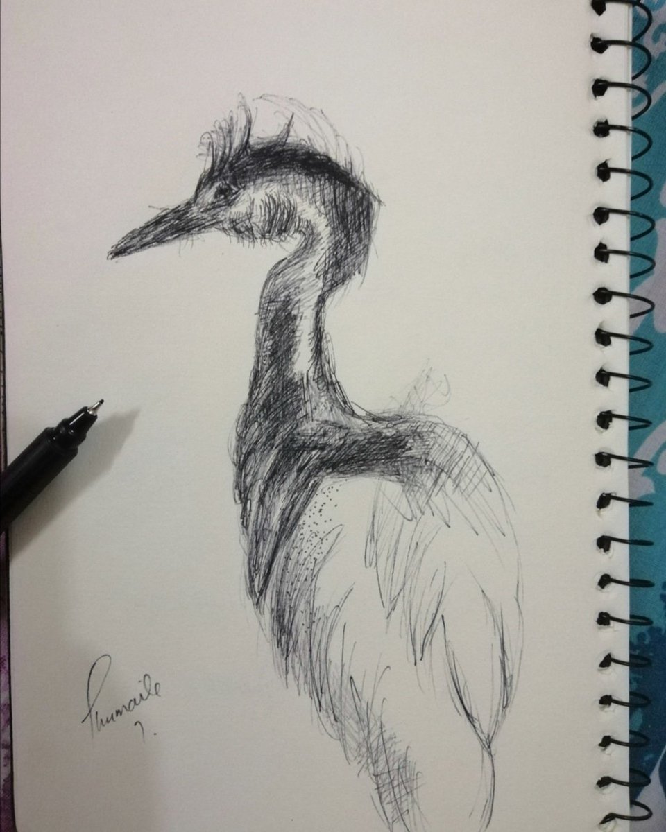 Artdiction3's tweet photo. "Drawing is the artist's most direct and spontaneous expression. A species of writing: it reveals, better than does painting, his true personality." -Edgar Degas
#art #drawing #sketching #pointerdrawing #artdiction #artdictionstudio #teamartdiction https://t.co/zyGwJraiQs