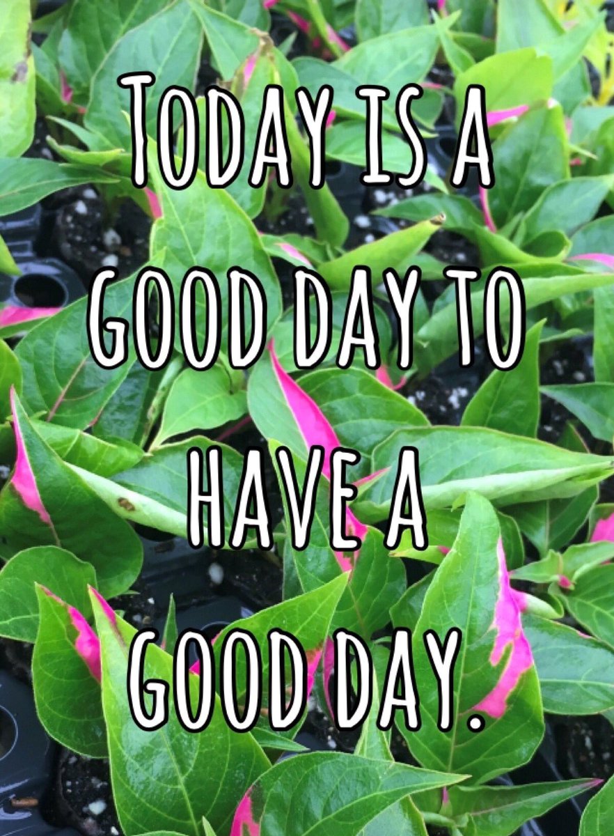 MicandyGardens's tweet photo. #alwaysgrowing https://t.co/7Nlqje0IAR