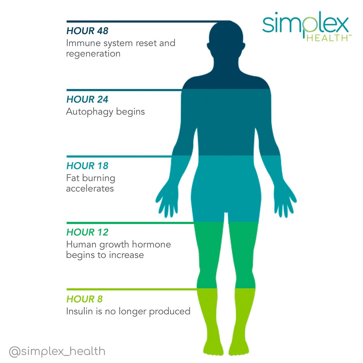 simplex_health's tweet photo. New year, new you...but the same cells. It's autophagy time! Autophagy is the body's way of cleaning out damaged cells, in order to regenerate newer, healthier cells. 👏
Go generate some new, healthy cells - you deserve it!
#intermittentfasting #IF #autophagy #48hourfast https://t.co/IDPPsmN5E2