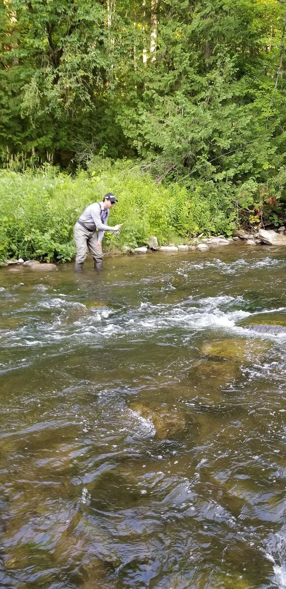 Graham Bristow tweet media