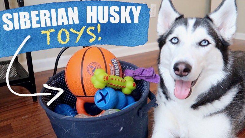 best husky toys