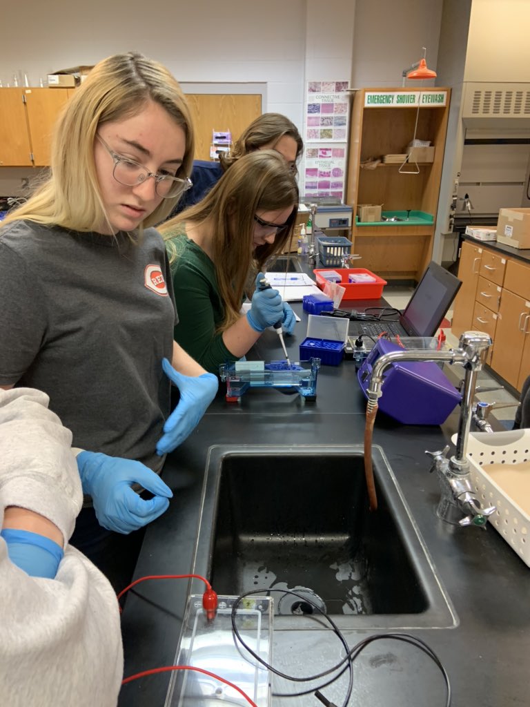MrBrownBio's tweet photo. Analyzing the results of our PCR experiment! Freaking pumped! #takeapbio. @SouthDearbornHS @southdearborncs https://t.co/8g6vKB6N7C