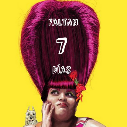 beto cohen 🇮🇱 tweet media