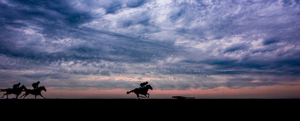 Perfect sight to finish the working week 😍 Have a great weekend 🏇🏽🏇🏽 #EQ #EQMedic #EquineSupplements #ExpertsInEquineHealth #BritishEventing