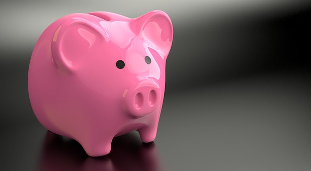With the SEIU℠ Personal Loan you may be able to receive funds in 24 hours and build your credit history while you repay your loan. bit.ly/2WXvlpb
