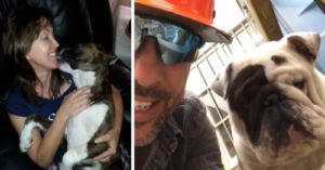 DogPetMag's tweet photo. Flight Policy Changes After Two Dogs Die in Three Days:Duke was a la- https://t.co/S5IxL0DzKi #dogs https://t.co/epDRpaKKJ7