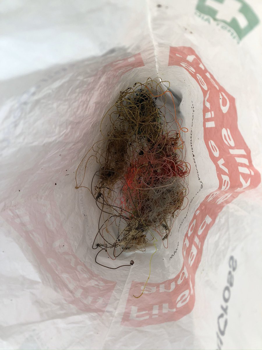 happyhillers's tweet photo. #litter at #StonePierBeach #fishingline #can #plastic these #hooks 😳😤😡
Bag full #harbourside helped by a chap from #OldHarbourDiveCentre #PADI 👍🏼 #singleusebottles #sponge #polystyrene #takeoutcupsandlids #plastic #crisppackets @LitterFreeCoast  @LitterFreeDrst @2minbeachclean https://t.co/RGrlud4bDh