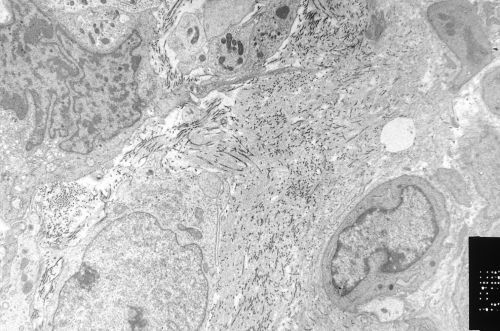 BioTechMagTop tweet picture