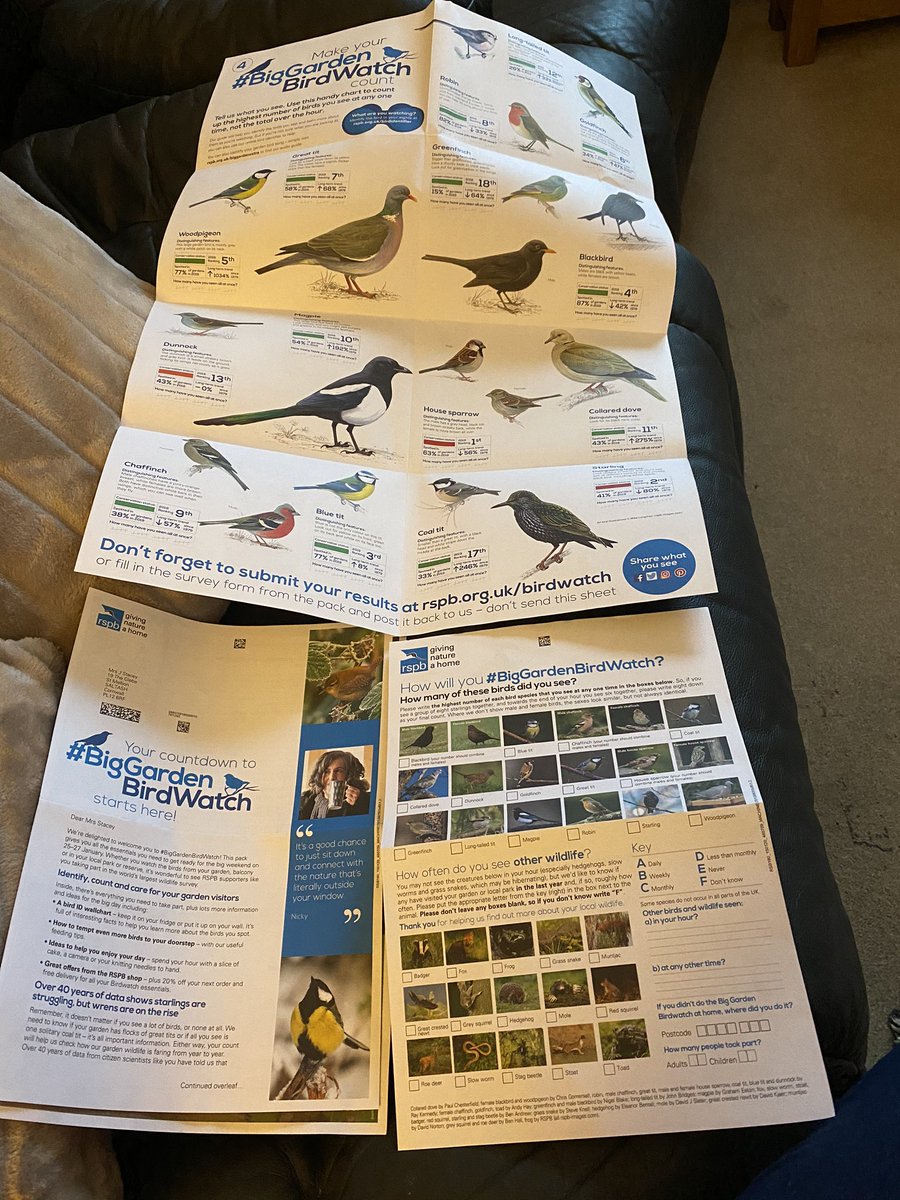 All ready for the #BigGardenBirdWatch  this weekend. Visit rspb.org.uk/birdwatch for details. 🦉🐥🐓🦜🕊