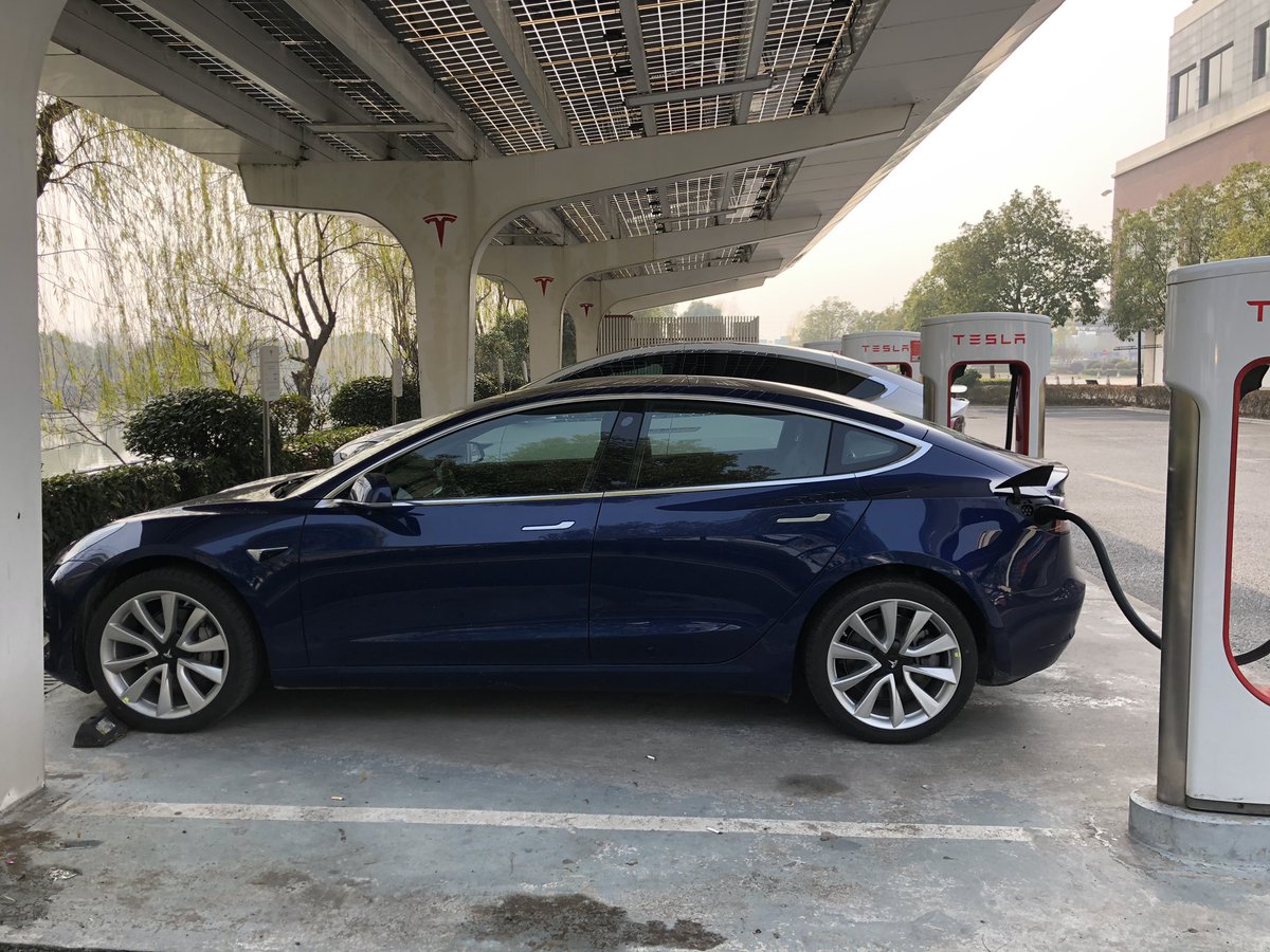 TΞSLA Mania👌🦔 tweet media