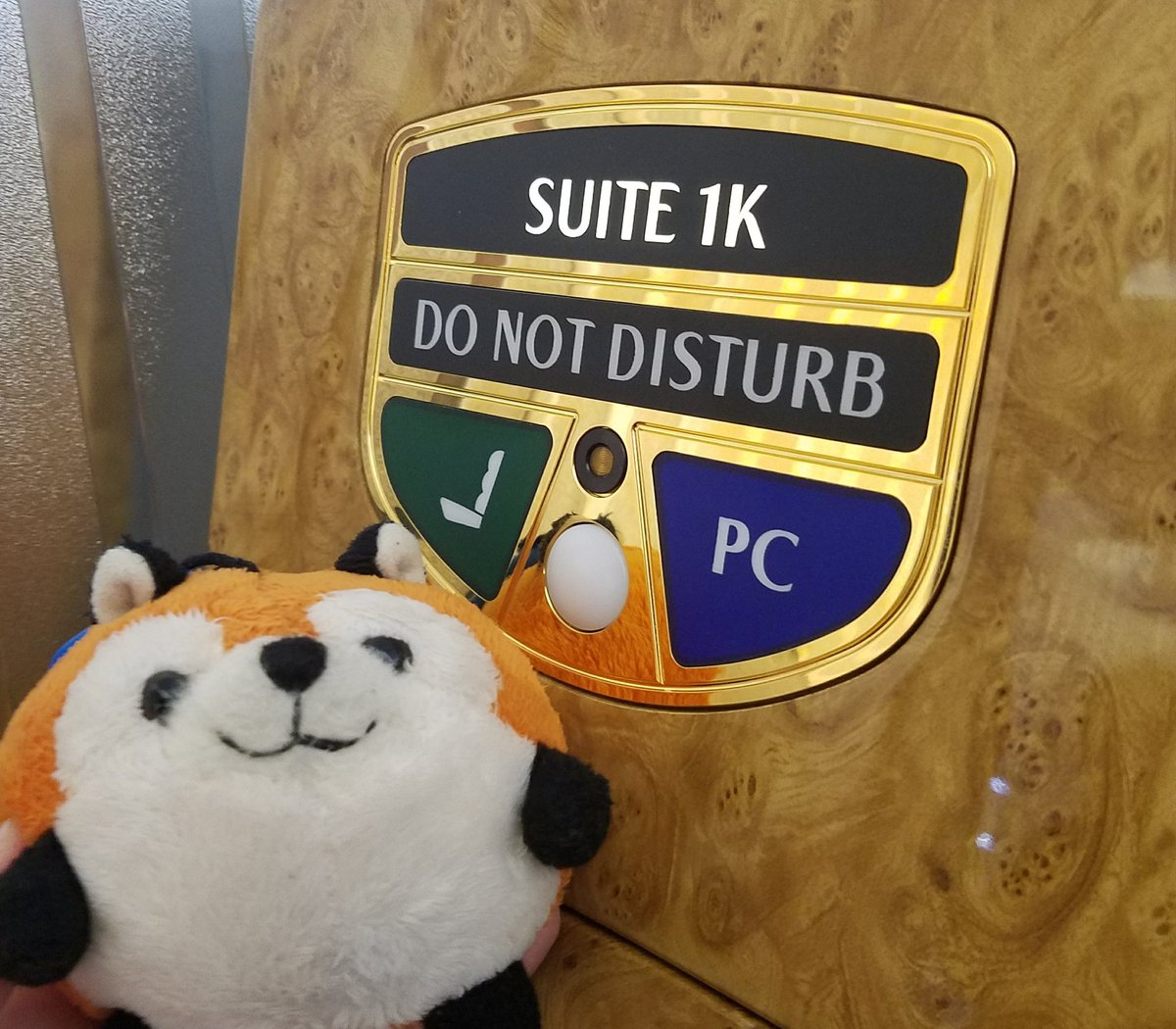 A plush fox in front of a private suite on an Emirates A380.