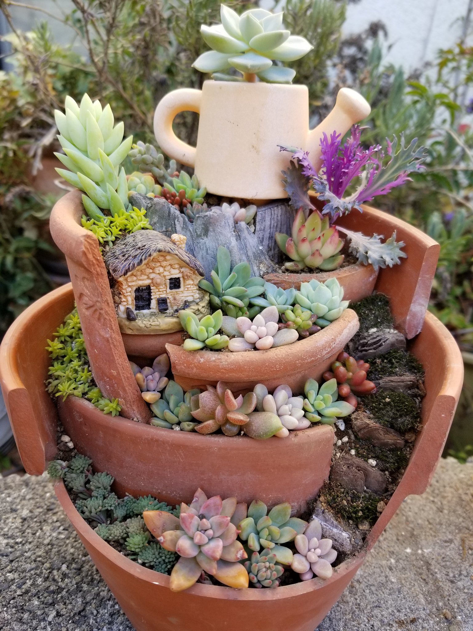 夜都虹 Yokko ブロークンポットガーデン とりあえず１つ目 ﾟ ﾟ 100均の植木鉢で作りました 多肉植物はやっぱり可愛いなぁ ブロークンポットガーデン ブロークン ポット ガーデン 寄せ植え 多肉