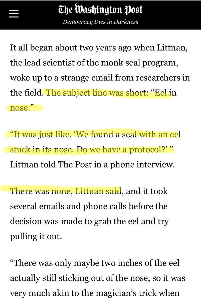 Så sälarna kukade tydligen ur för mer än ett år sedan och ingen har sagt någonting till mig om den saken