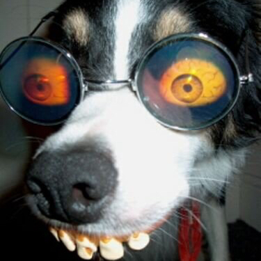 APR Media Studios is looking to partner with creative people looking to produce engaging content for Facebook, YouTube, Podcasts, etc. If you’re interested send us a message or an email to droller@aprpodcast.com