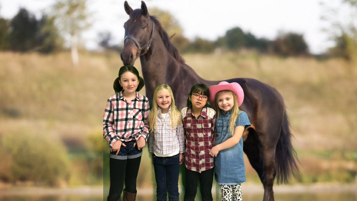 Hudsongrade1 tweet media