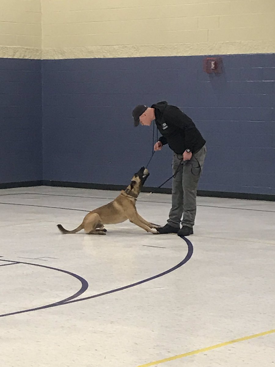 SES_thirdgrade's tweet photo. Thank you Officer Machin for coming to SES today and showing our students how K9 officers train their dogs. We were able to see pups in training, and dogs (and an adorable pig) that are already out working with officers! #connectses #bulletpride https://t.co/CHYrPyR9bp