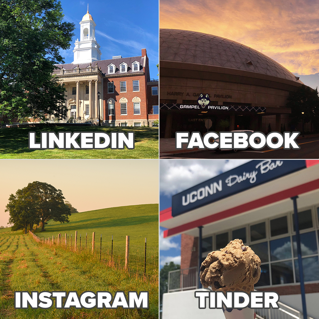 Okay, we'll play... #DollyPartonChallenge