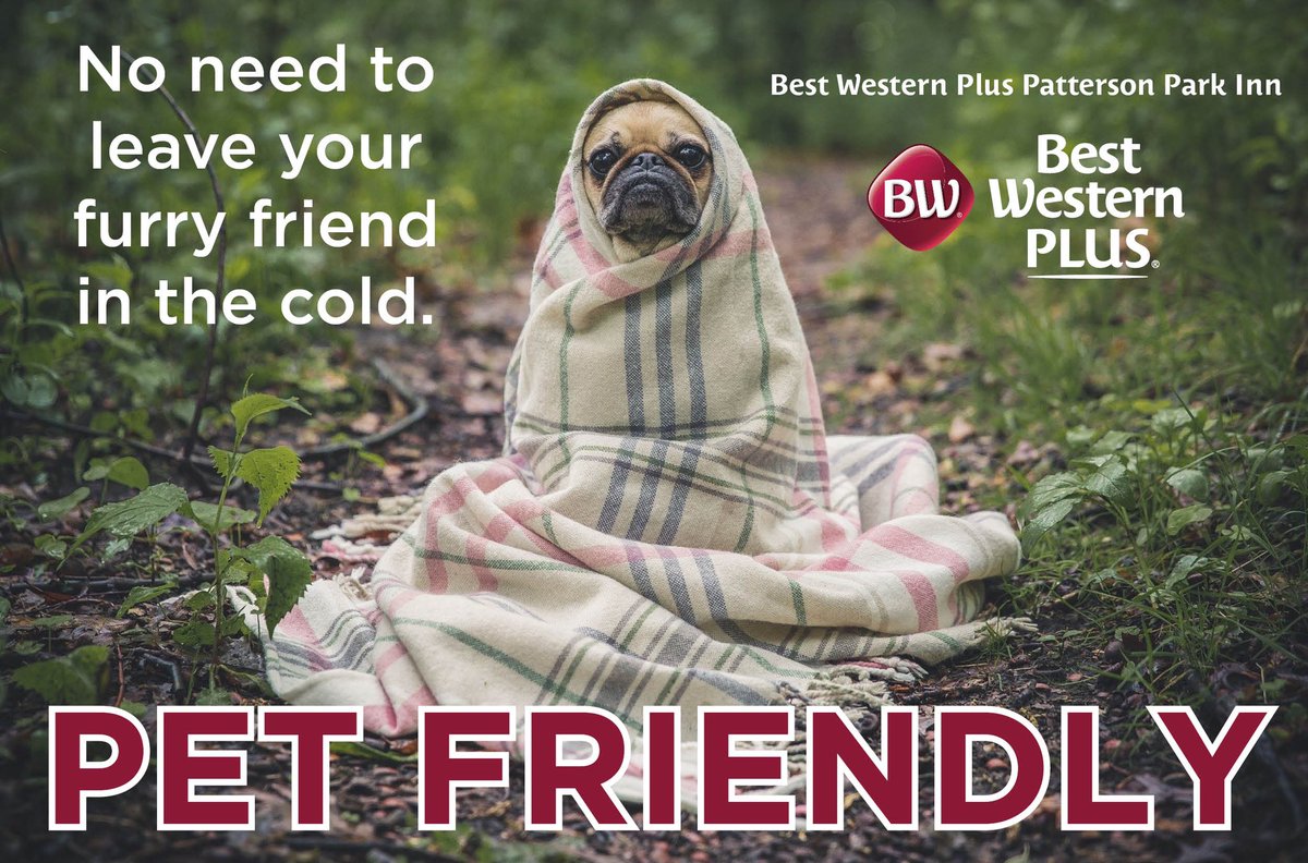 bwpluspatterson's tweet photo. https://t.co/RqXKpWT37P