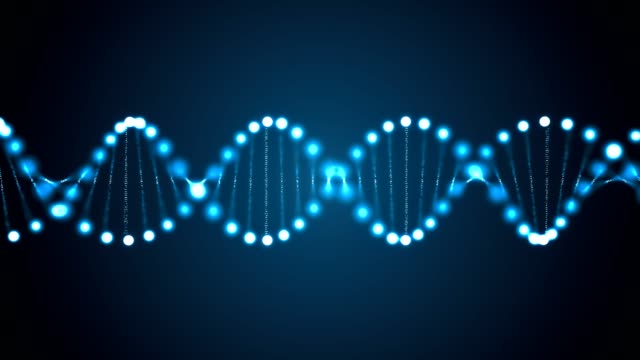 GeoPeptides's tweet photo. Bogo or % off . Please read the directions so errors are not made. You MUST PUT ALL THE ITEMS IN YOUR CART, then apply the code B1G1. The cart will not auto discount or add items. Any questions please ask before checking out. 
USE CODE : B1G1 ( Buy 1 get 1)
%55 off Use code : END https://t.co/PEktnEHt0C