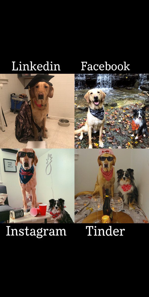 epurps13's tweet photo. 🐶 https://t.co/k7XnvQoNV7