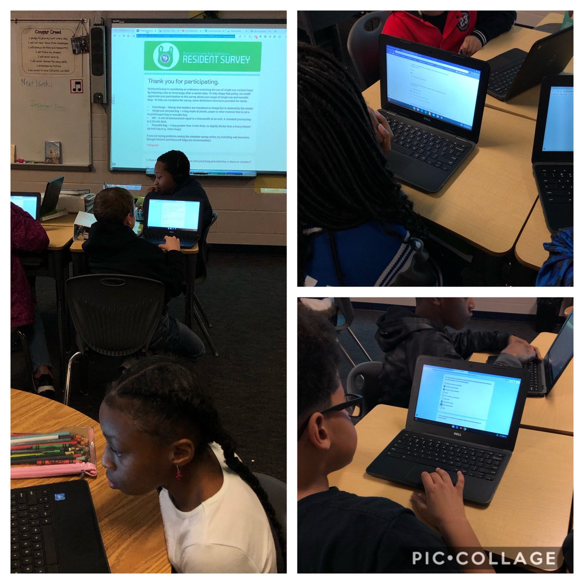BonigBCE's tweet photo. Today we became activist in our community and gave our opinions on plastic bag usage in Richland County. Thanks @JaniceAllen74 for educating us on reducing, reusing, and recycling! #makingadifference @MEDatBCE https://t.co/CjVIcpbrIV