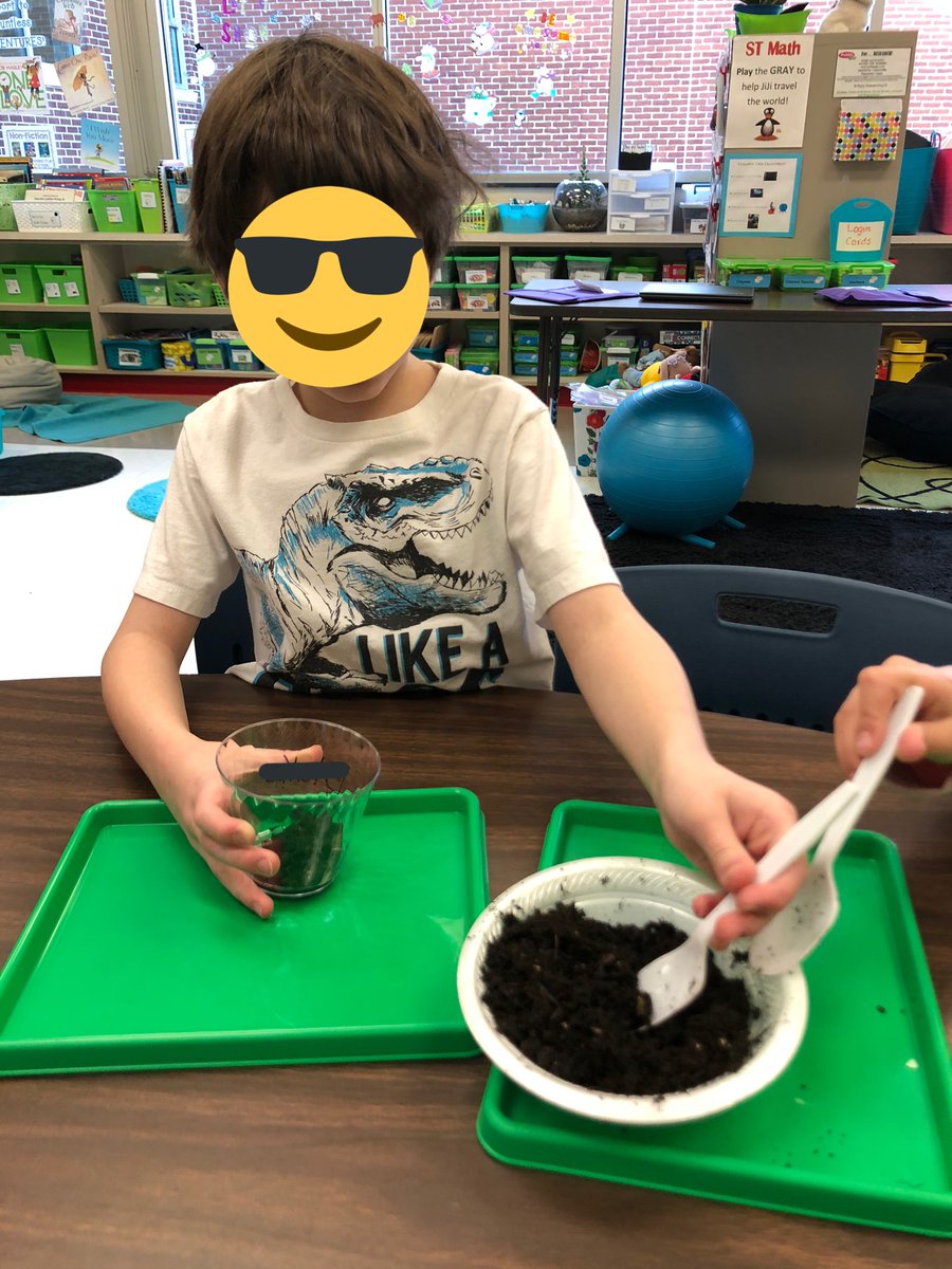 MissMonighan's tweet photo. This week in guided reading, we read a book about the life cycle of peas. So today we planted our own pea seeds! These kiddos are so excited to watch them grow! 🌱📚 https://t.co/7b5slBD7Vr