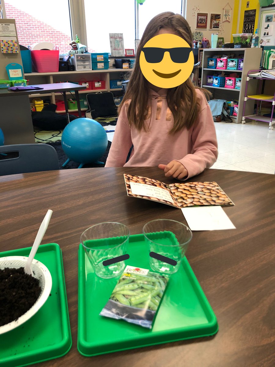MissMonighan's tweet photo. This week in guided reading, we read a book about the life cycle of peas. So today we planted our own pea seeds! These kiddos are so excited to watch them grow! 🌱📚 https://t.co/7b5slBD7Vr