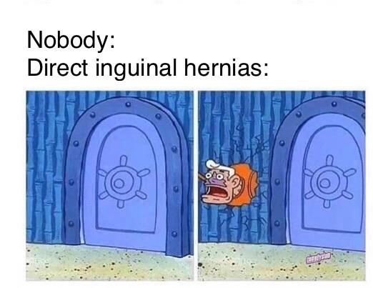 This might be my favorite anatomy meme ever