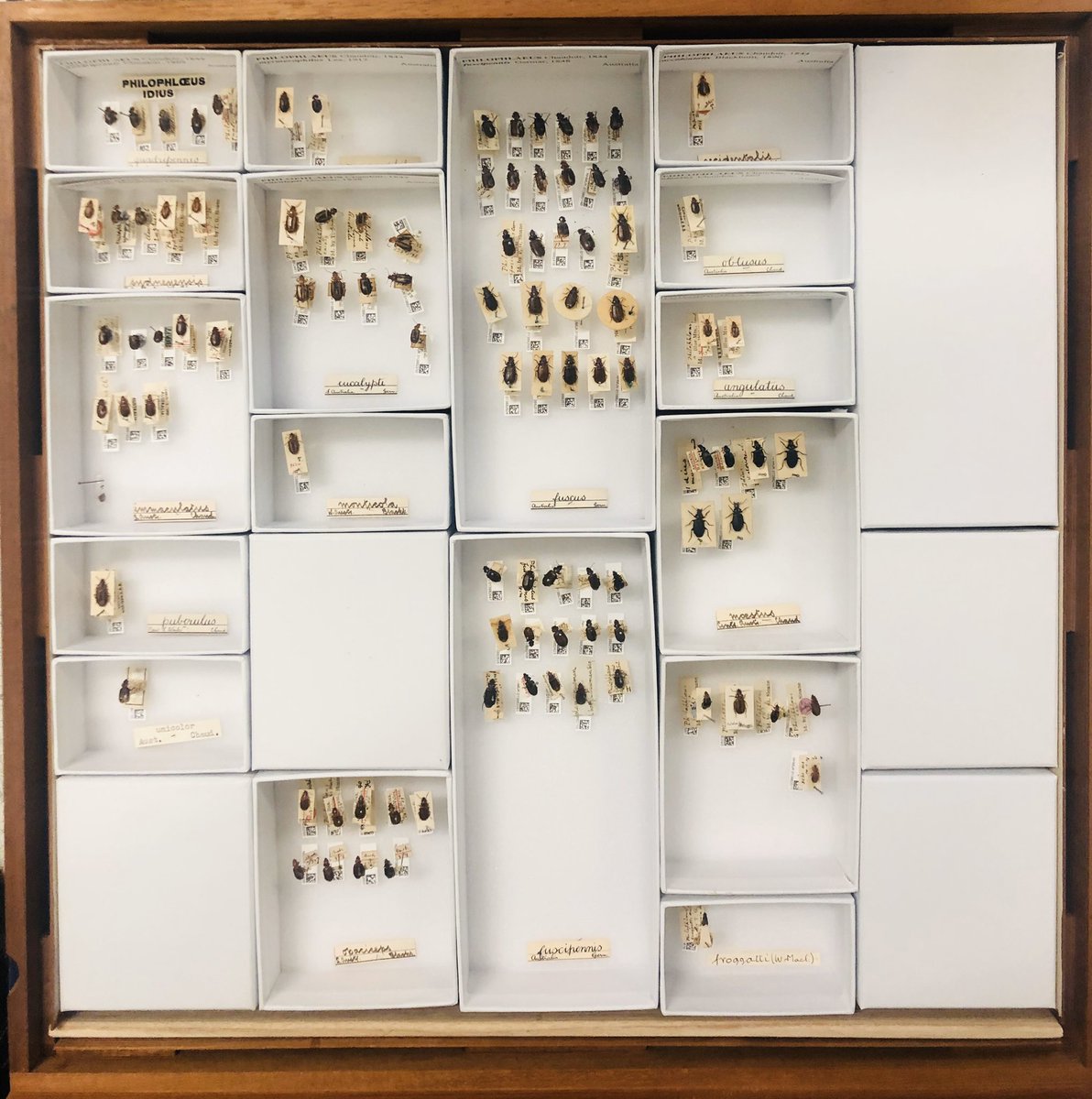 Beulah Garner tweet media