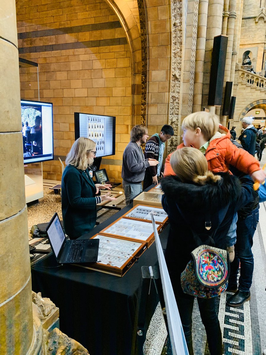 Beulah Garner tweet media