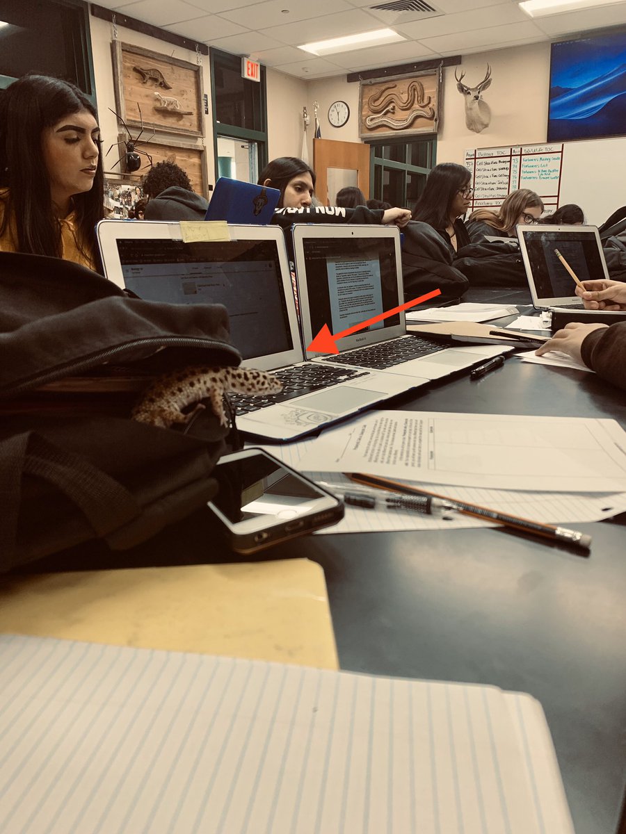 Class pets in biology are the best! #sccabears #burtonschools #classroompets