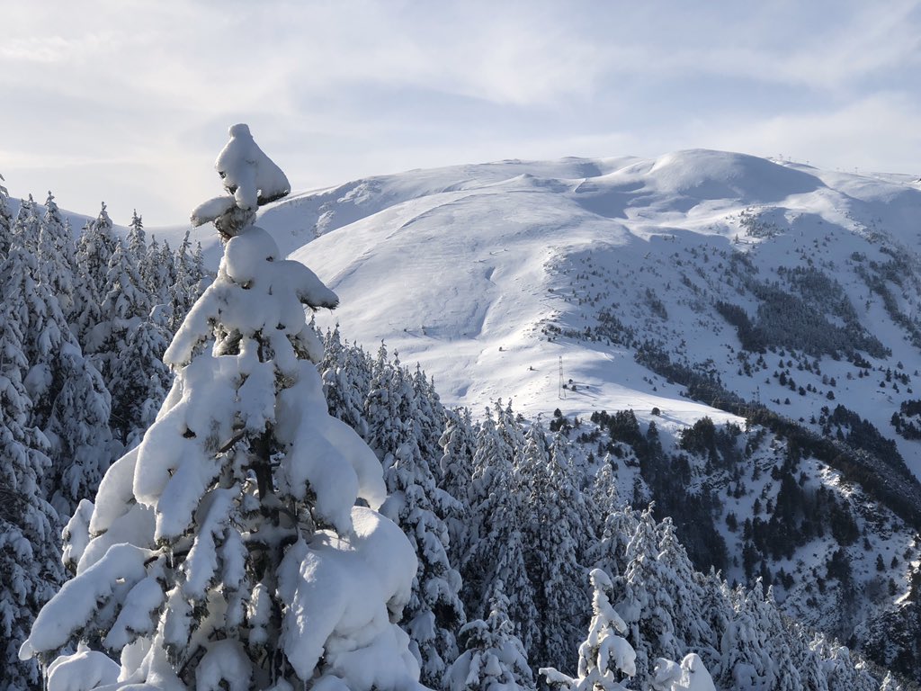 ivanSanzTusell's tweet photo. Així són els paisatges post-llevantada. Tarda de llum especial per esquiar a @SnowLaMolina @Skitude @HellyHansen #ihaveskitude #hhalive #estemapistes https://t.co/XrOiowj7nL