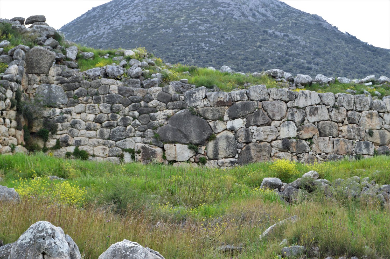 Paul Cooper on Twitter: