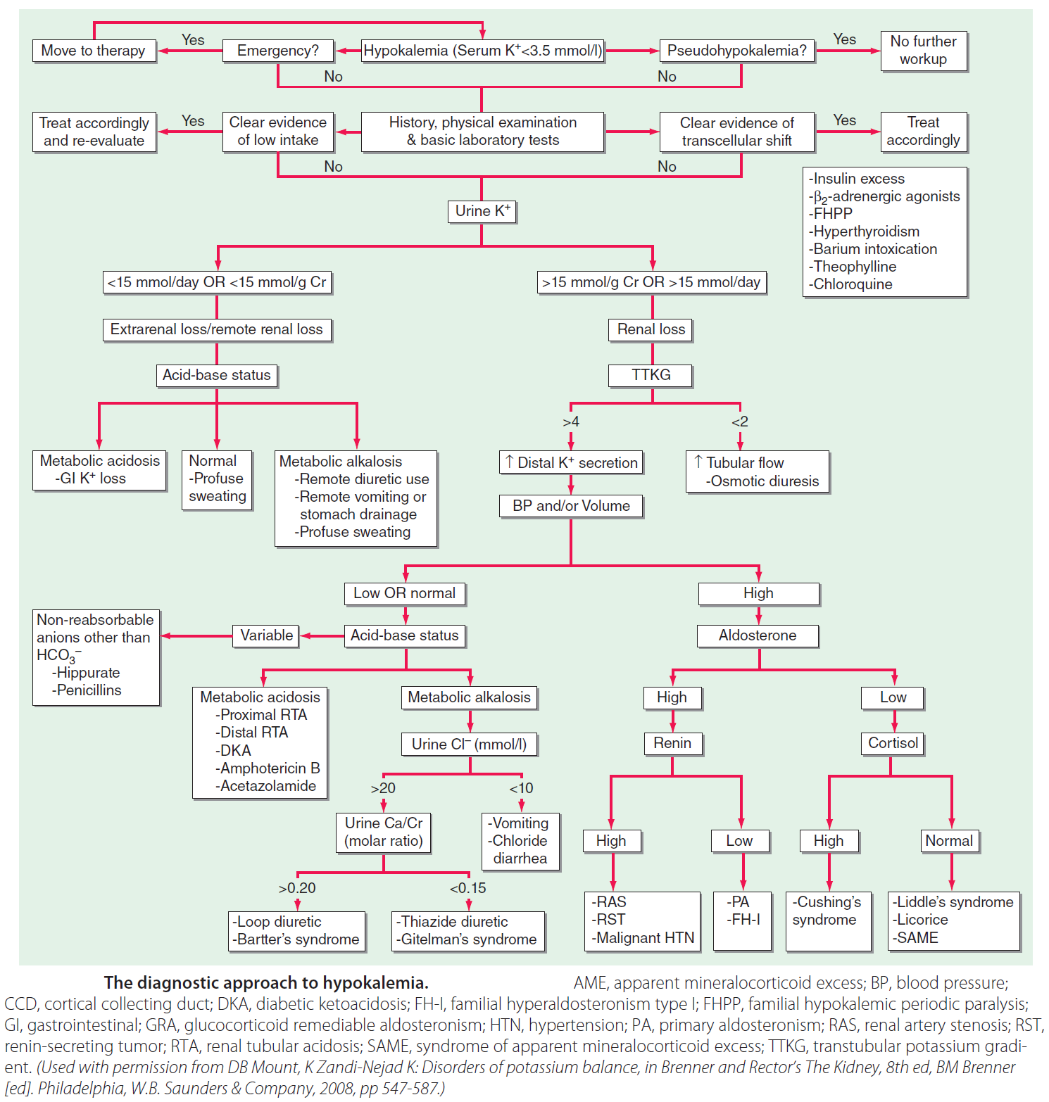 Hypokalemia Flowchart | Sexiz Pix