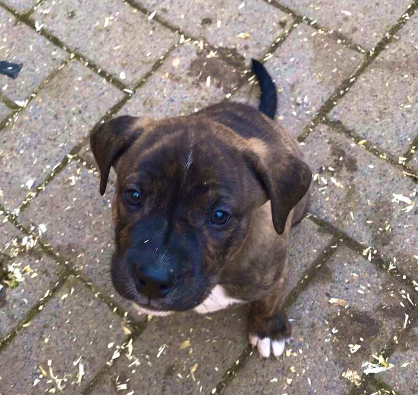 Habt ihr Vorschläge für schöne Namen, für diesen kleinen Mann?