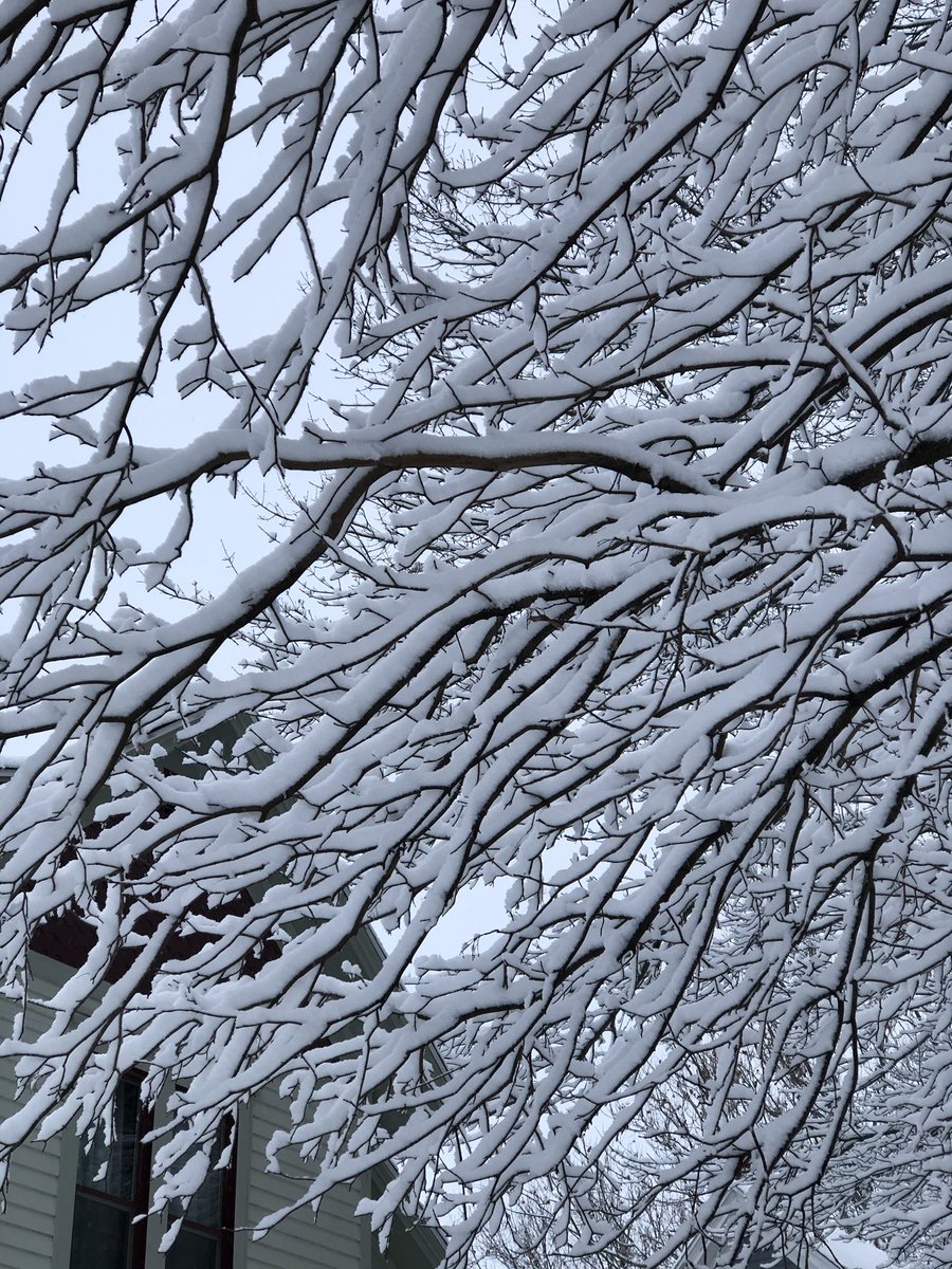 jaimiehanson's tweet photo. ❄️January Beauty
❄️❄️Winter Beauty
❄️❄️❄️Snow Day Beauty
#thisisiowa #winteriniowa https://t.co/ieFF5xo2gB