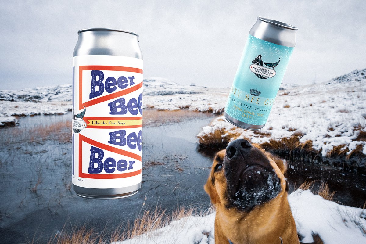 WNLBrewing's tweet image. Hey! IS THAT BEER!? AND HONEY BEE GOOD?
IN A CAN!?

Lookout on shelves everywhere!
#westernnlbrewing #nlc #nlcraftbeer #nlwx #Newfoundland #Brewdog #Biglookout #grosmorne