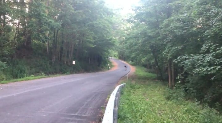 5YXperience's tweet photo. #extreme #fiveyahoosexperience #fiveyahoos #juicebaux #yahoos #yahoolife #skateboarding #steephill #skater #extremesports #wildman #wildboy #wild #yahoo #someswellguys #photography #visuals #picturemovie #aesthetic #movingpictures #sk8 #skatelife #skate #skateboard #art #risky https://t.co/3a3iLdu9ww
