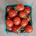 Photo by Guelph Centre for Urban Organic Farming (@gcuof)