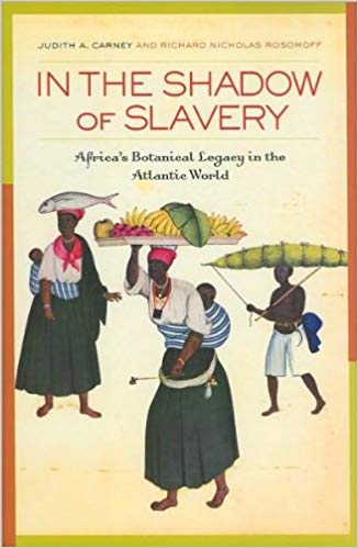 VCUHSLibrary's tweet photo. Recommended Read: In the shadow of slavery : Africa's botanical legacy in the Atlantic world https://t.co/9q6hKLzoUq #VCU #FireAndFreedom #BlackHistory #Nutrition #Ethnobotany https://t.co/bTuVfjDkIp