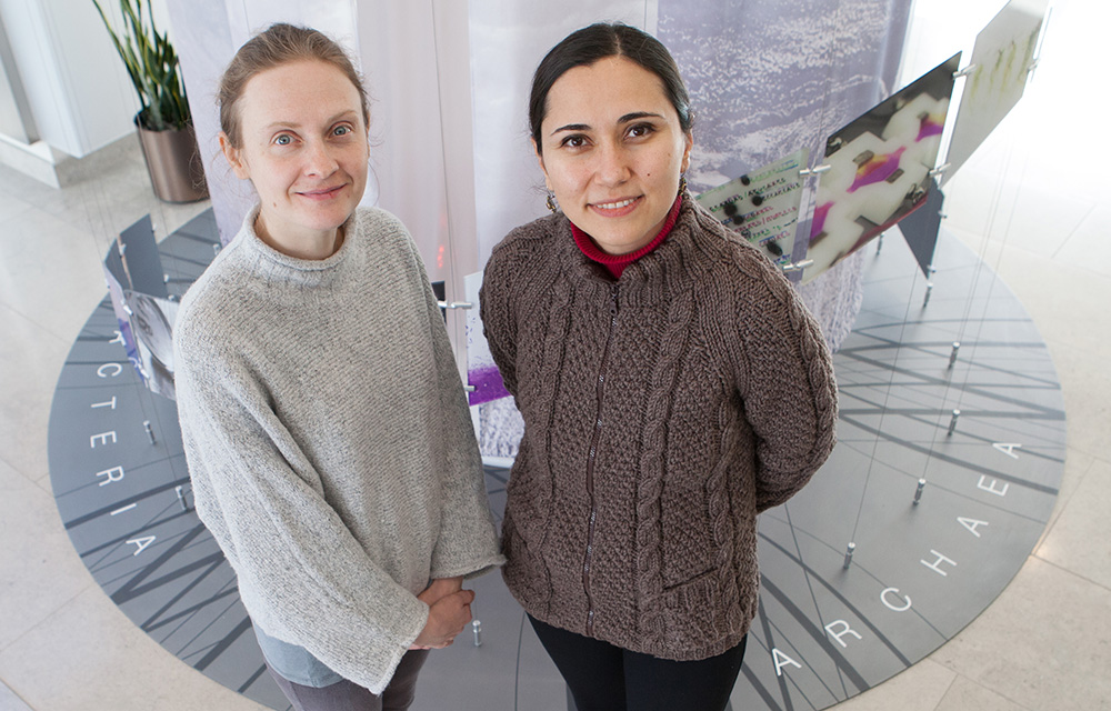 Justina Zurauskiene, left, is a Birmingham-Illinois Partnership for Discovery, Engagement and Education fellow collaborating with Assistant Professor in Food Science and Human Nutrition Zeynep Madak-Erdogan.