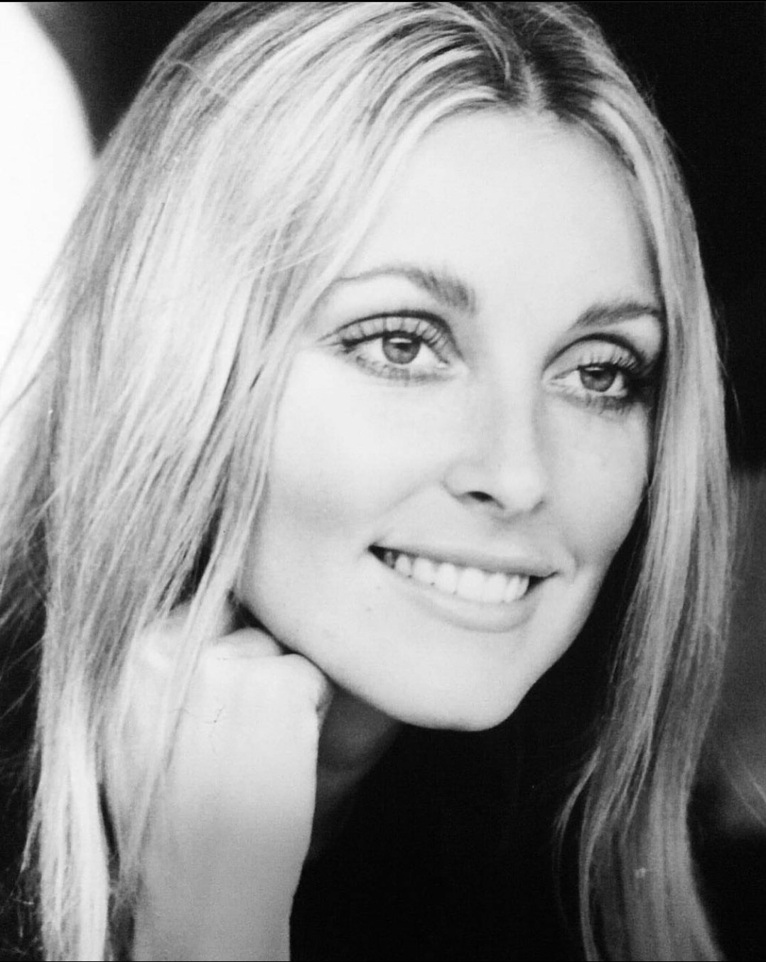 Happy Birthday to the beautiful Sharon Tate she would\ve been 77 today 