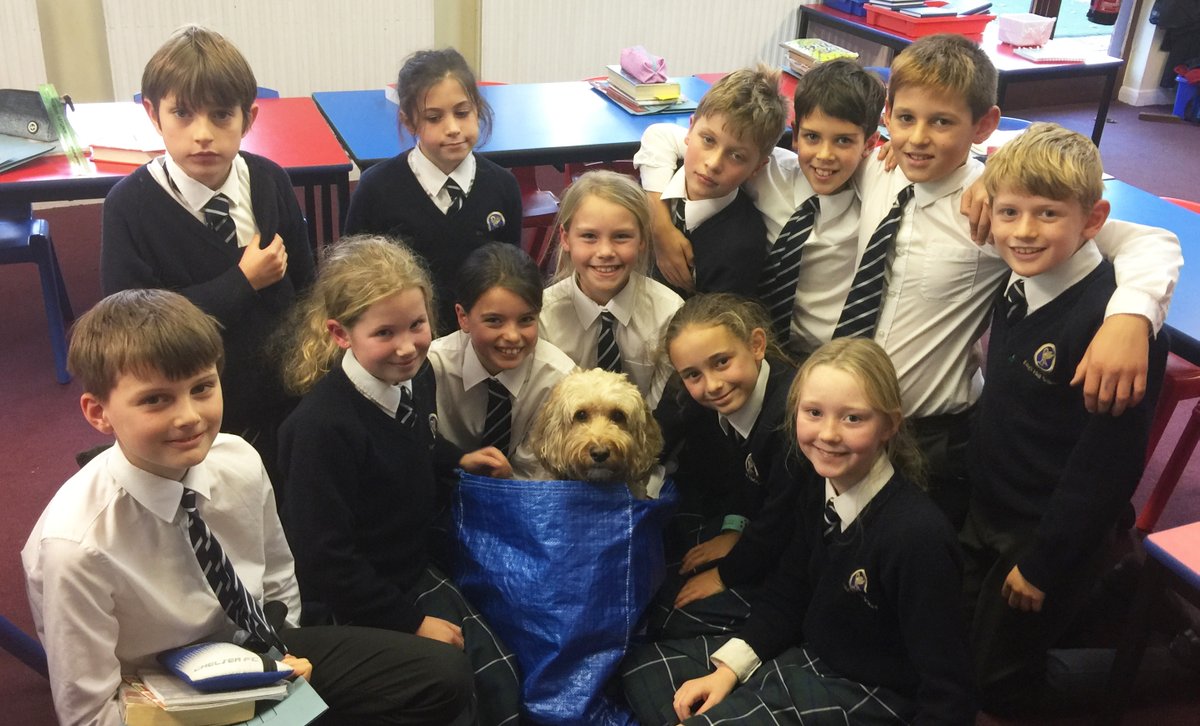 KingsCollPrep's tweet photo. Poor Snoops has been the victim of a prank this week! It's a good job he loves his King's Hall family enough to forgive them. Read the full story in this week's diary: https://t.co/jlhungQsAC #boardingpets #schoolprank https://t.co/qEVdo40SkO