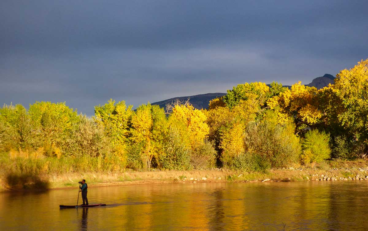 505Nomad's tweet photo. Natural Resources in #Albuquerque | One perk of living in Albuquerque is that nature is never far away. There are open spaces for wildlife and humans who need wilderness in their lives - https://t.co/Pk3pBAUCZ5

#NewMexico #nature #OptOutside #thingstodoinABQ https://t.co/8v6ebnMlG9