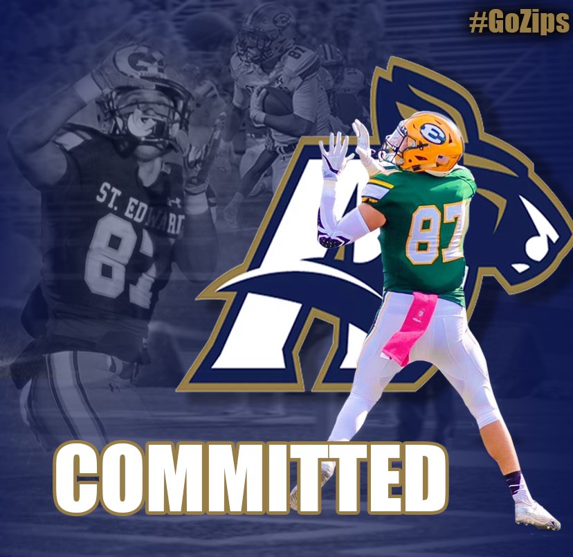 100% Committed🦘